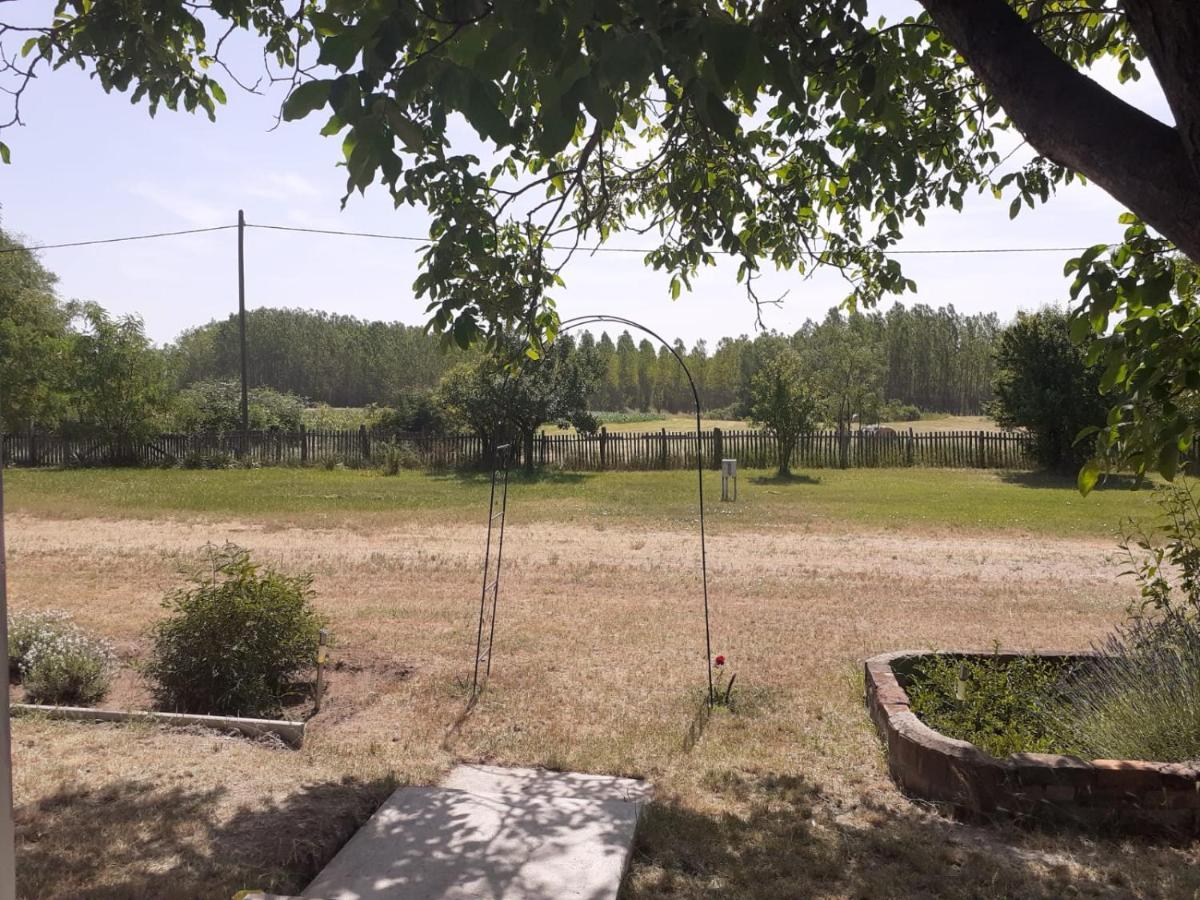 Camping Fantázia Tanya Szentkirály Esterno foto